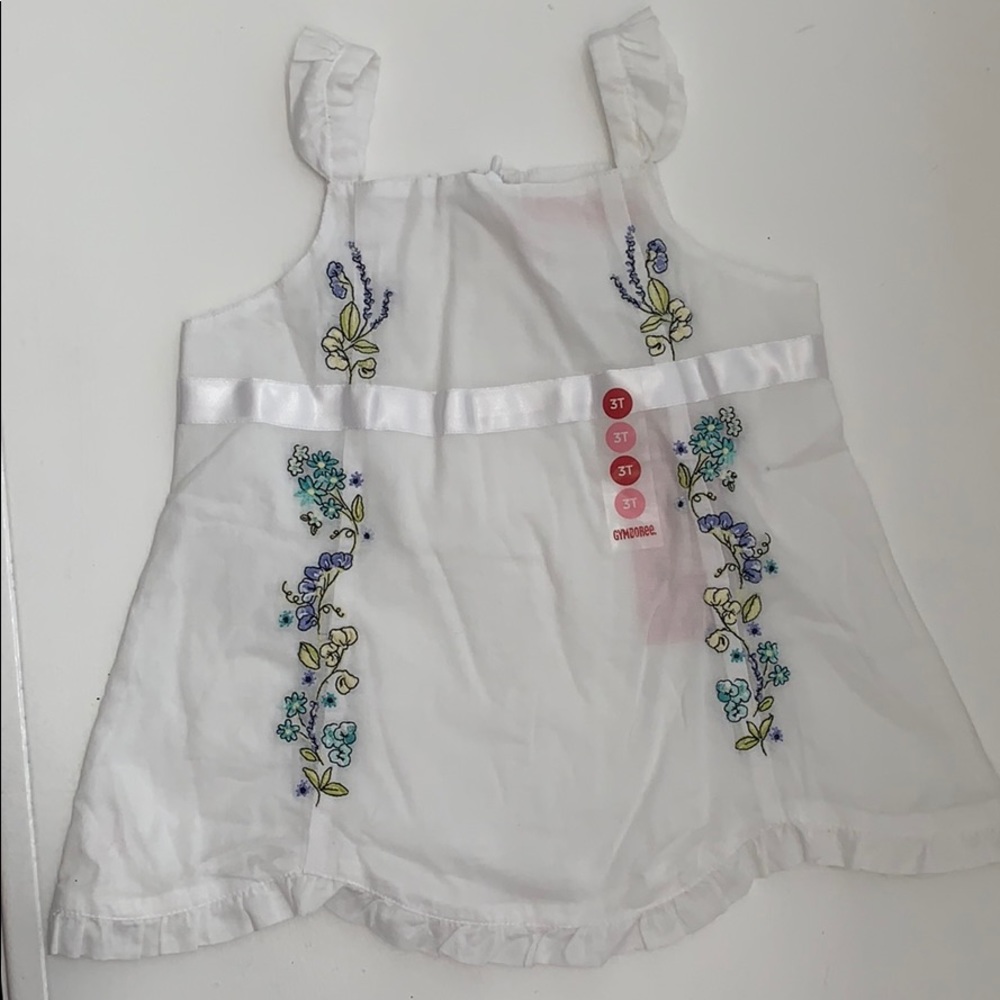 Gymboree Girl’s shirt